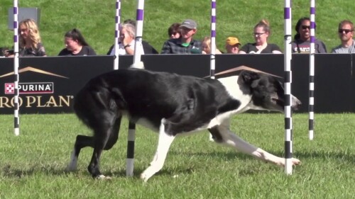 IM体育官网导航